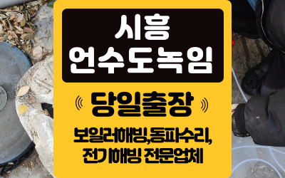 시흥언수도녹임해빙동파수리