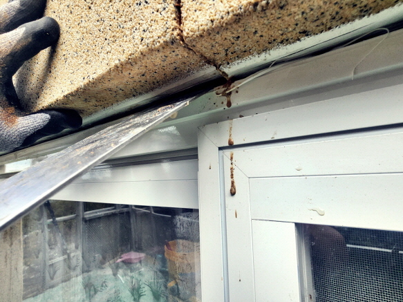 서초구빗물누수창틀누수