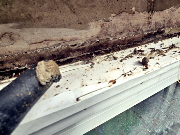 서초구빗물누수창틀누수