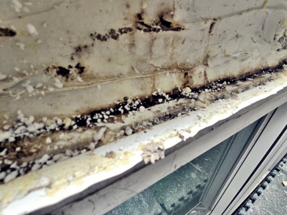 안동빗물누수창틀누수