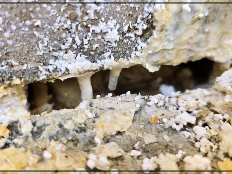 영등포구빗물누수창틀누수